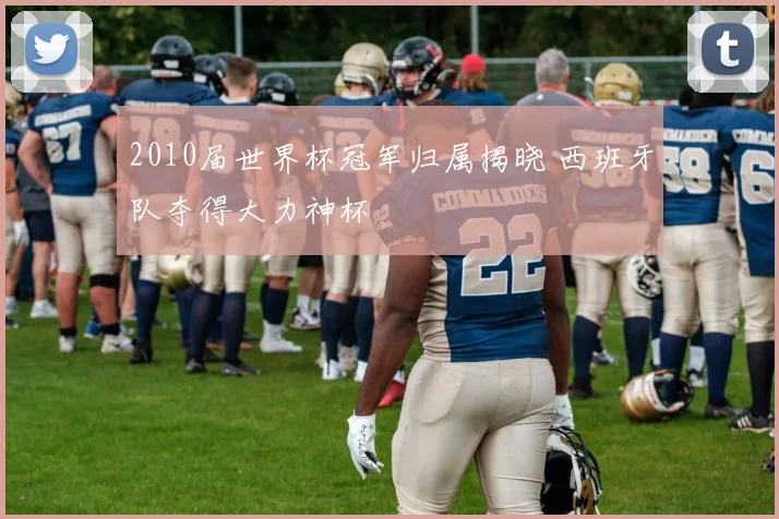 2010届世界杯冠军归属揭晓 西班牙队夺得大力神杯