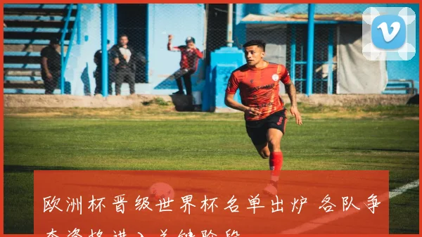 欧洲杯晋级世界杯名单出炉 各队争夺资格进入关键阶段