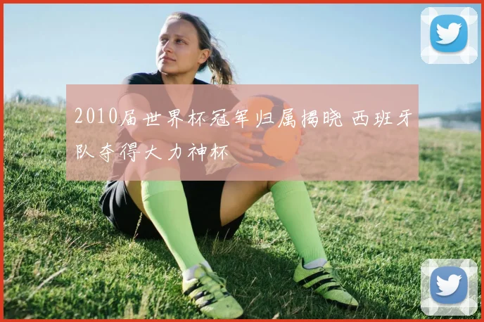 2010届世界杯冠军归属揭晓 西班牙队夺得大力神杯
