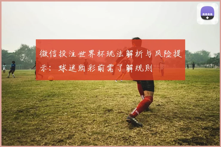 微信投注世界杯玩法解析与风险提示：球迷购彩前需了解规则