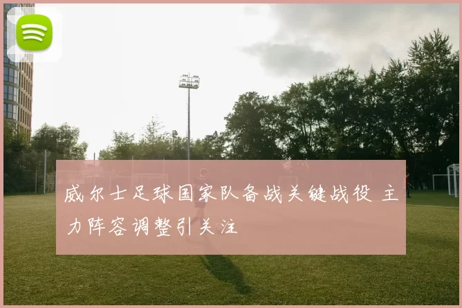 威尔士足球国家队备战关键战役 主力阵容调整引关注
