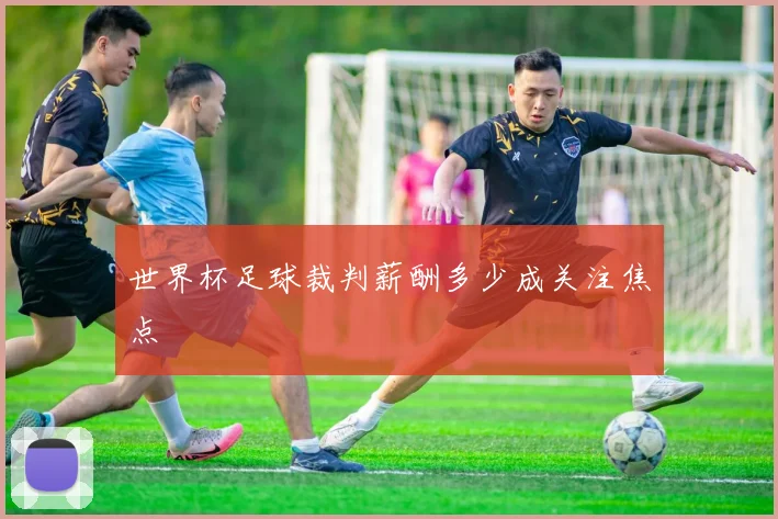 世界杯足球裁判薪酬多少成关注焦点