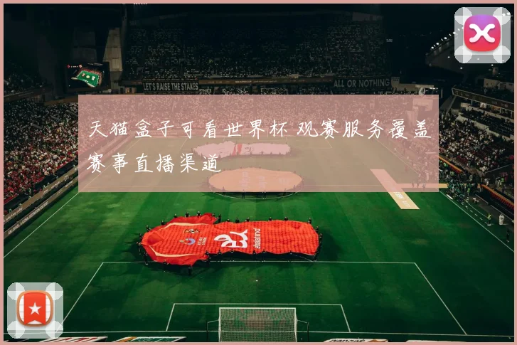 天猫盒子可看世界杯 观赛服务覆盖赛事直播渠道