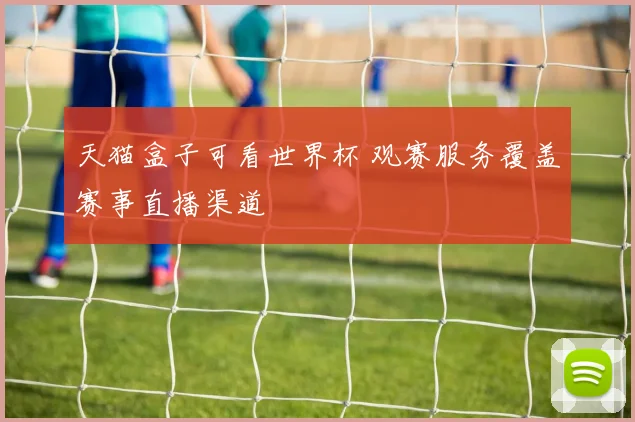 天猫盒子可看世界杯 观赛服务覆盖赛事直播渠道