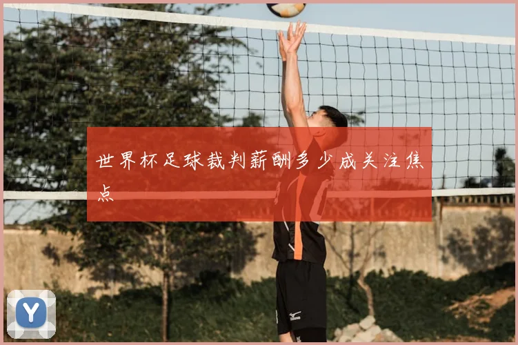 世界杯足球裁判薪酬多少成关注焦点